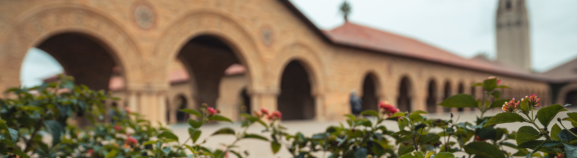 Main quad with flowers in front and Hoover tower in back