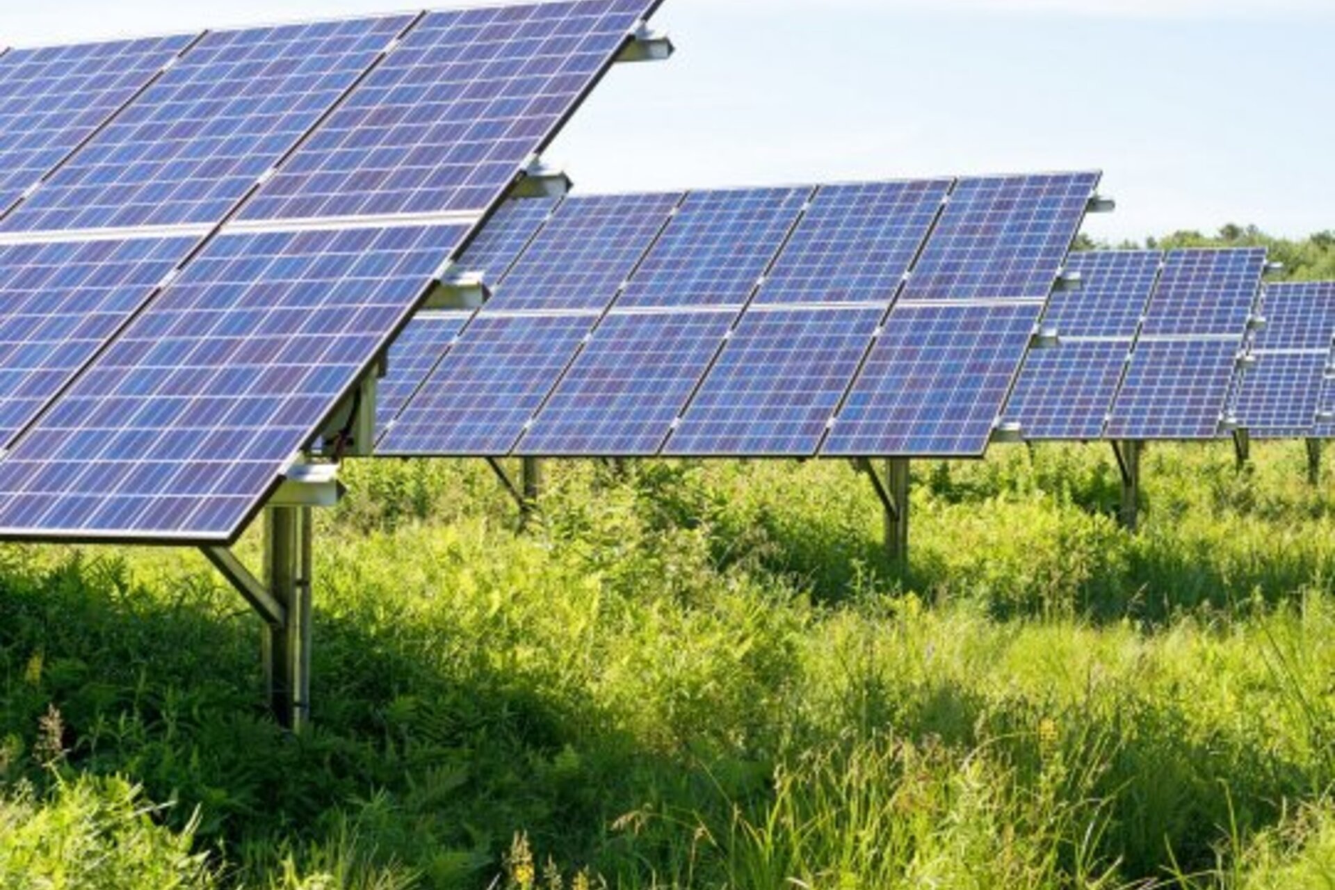 solar panels on a grassy field