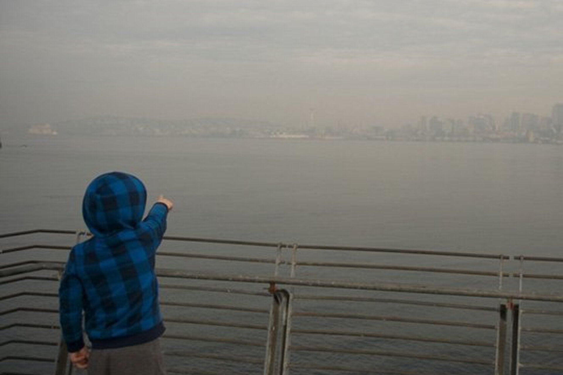 A young boy in a blue and black checkered jacket with the hood up, pointing across water on a very smoggy day