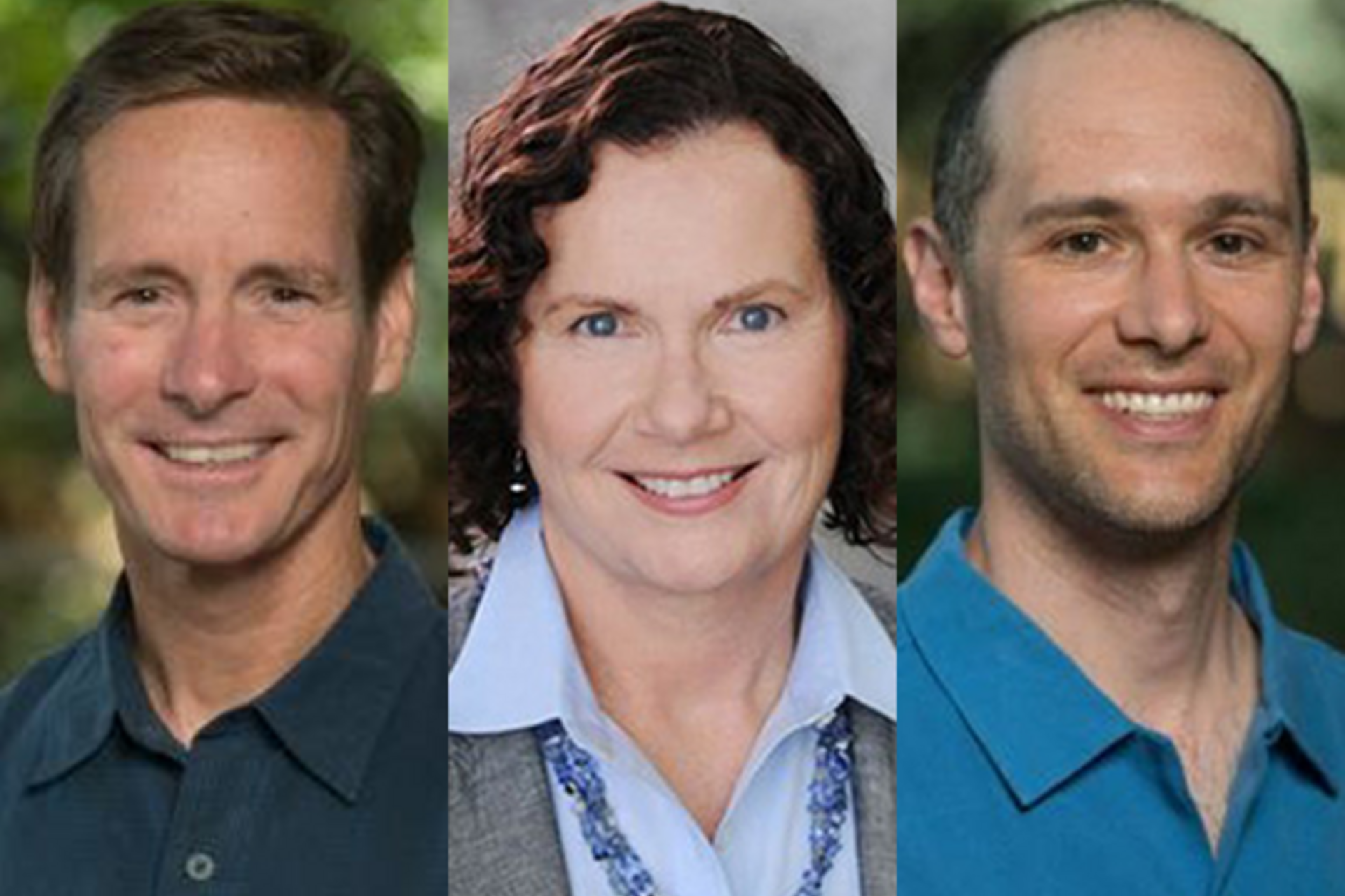 Scott Fendorf, Lynn HIldemann, and Jonathan Payne