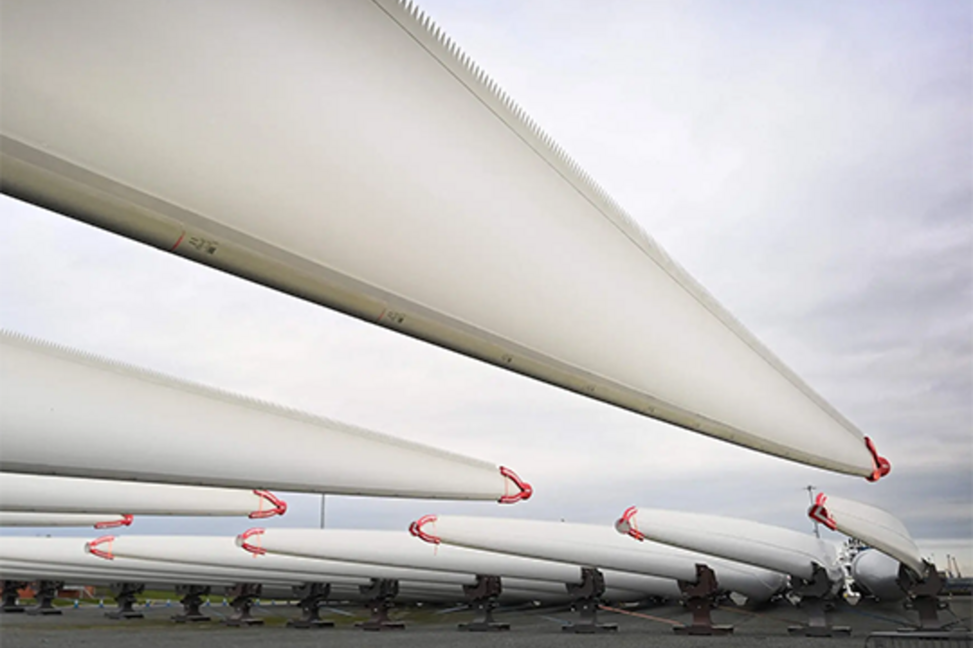 Wind turbine blades arranged in neat rows