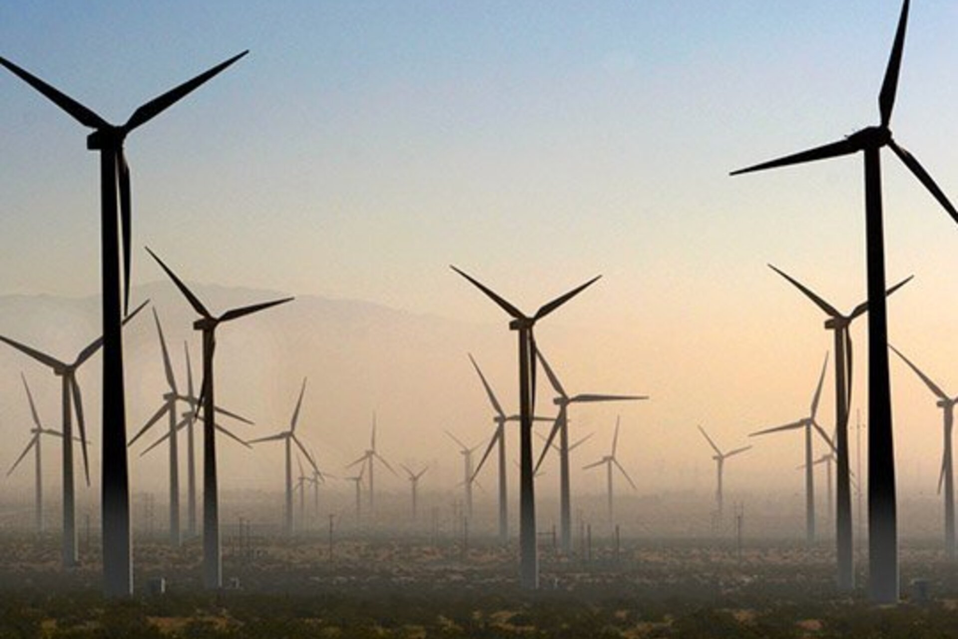 Many windmills in a foggy area during dawn