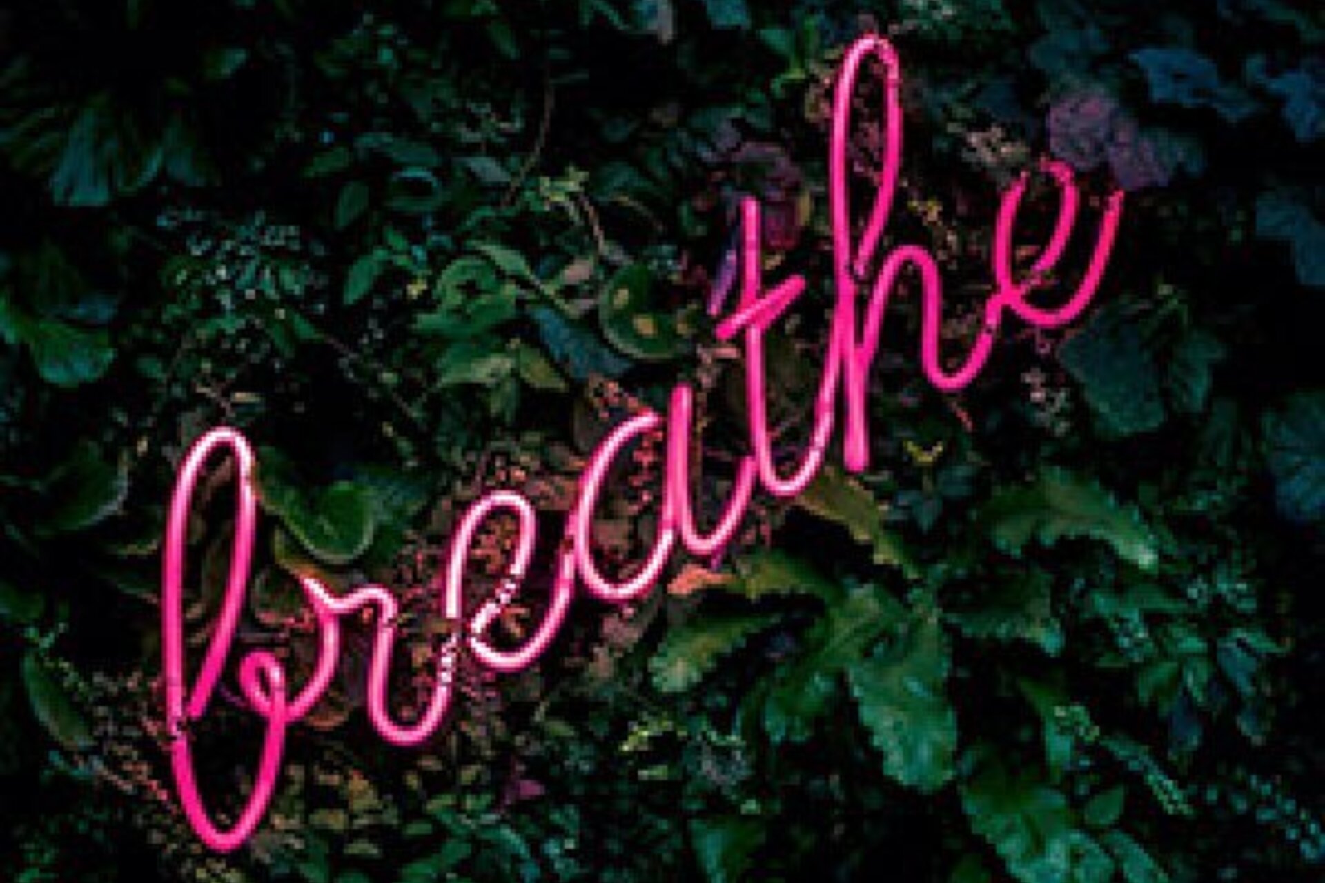 A pink neon sign that says "breathe" enmeshed in a wall of lush green plants