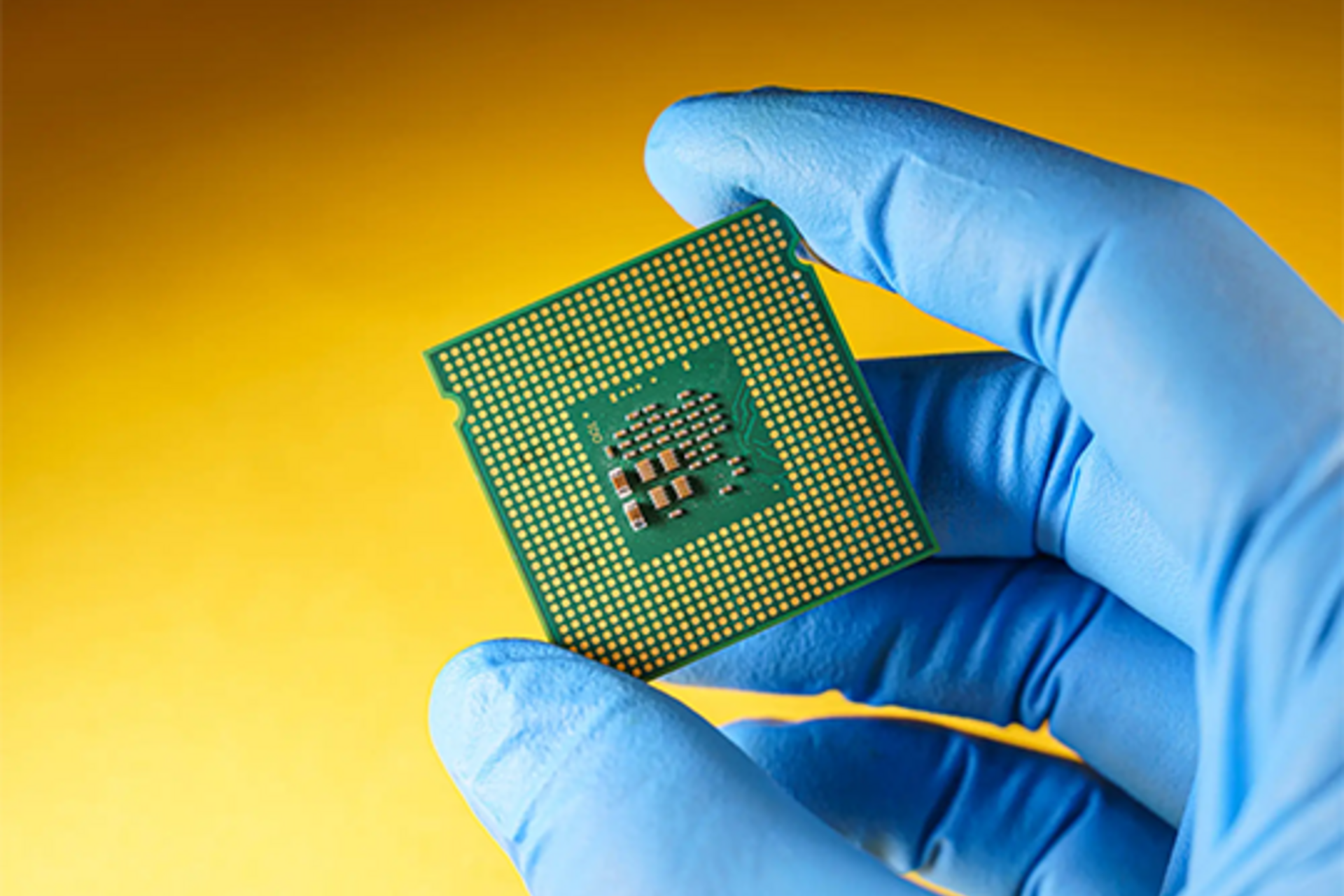 Blue-gloved hand holding a green computer chip