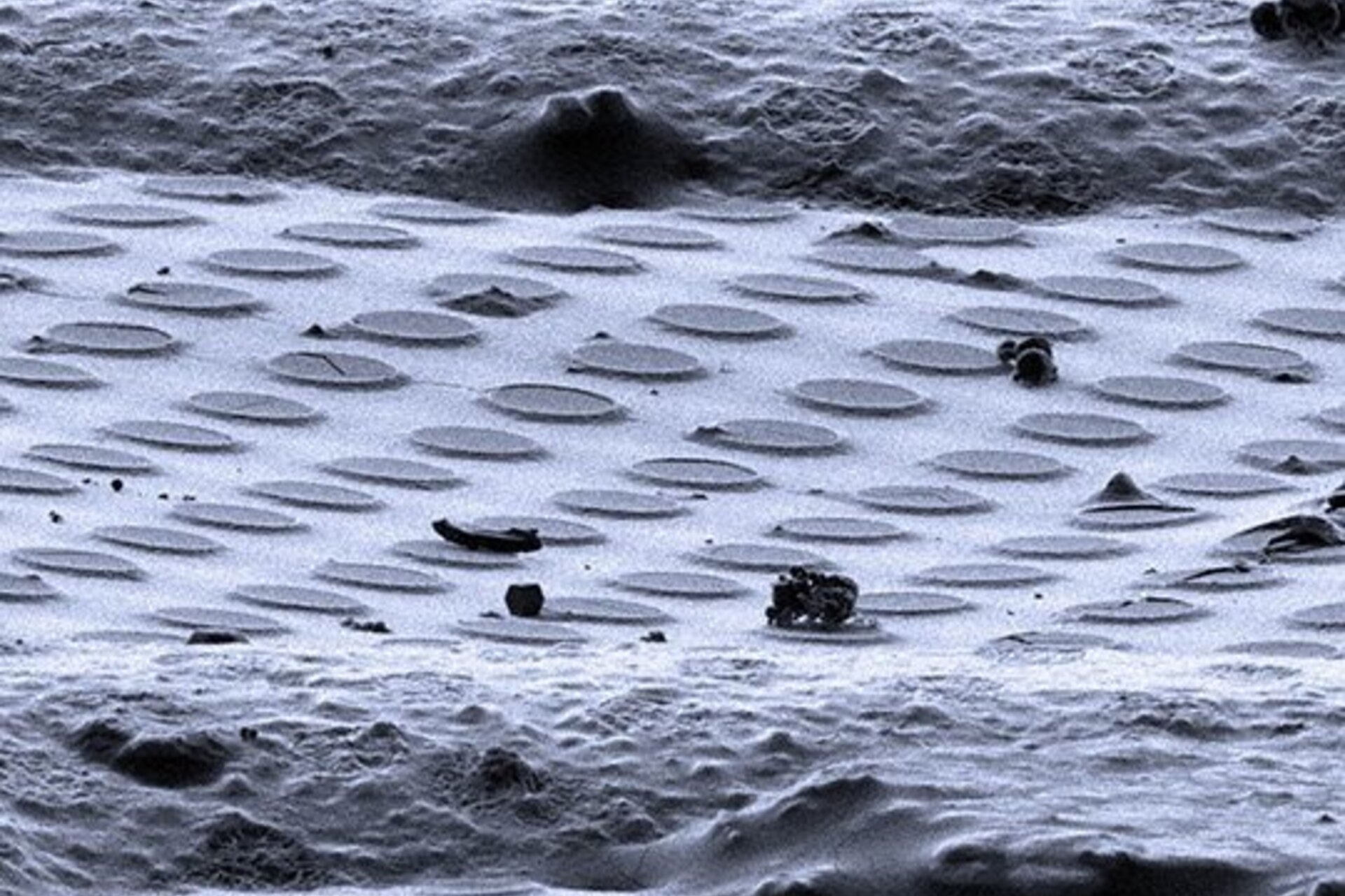 A battery's liquid electrolyte clings to small holes in a cryo-EM sample holder.