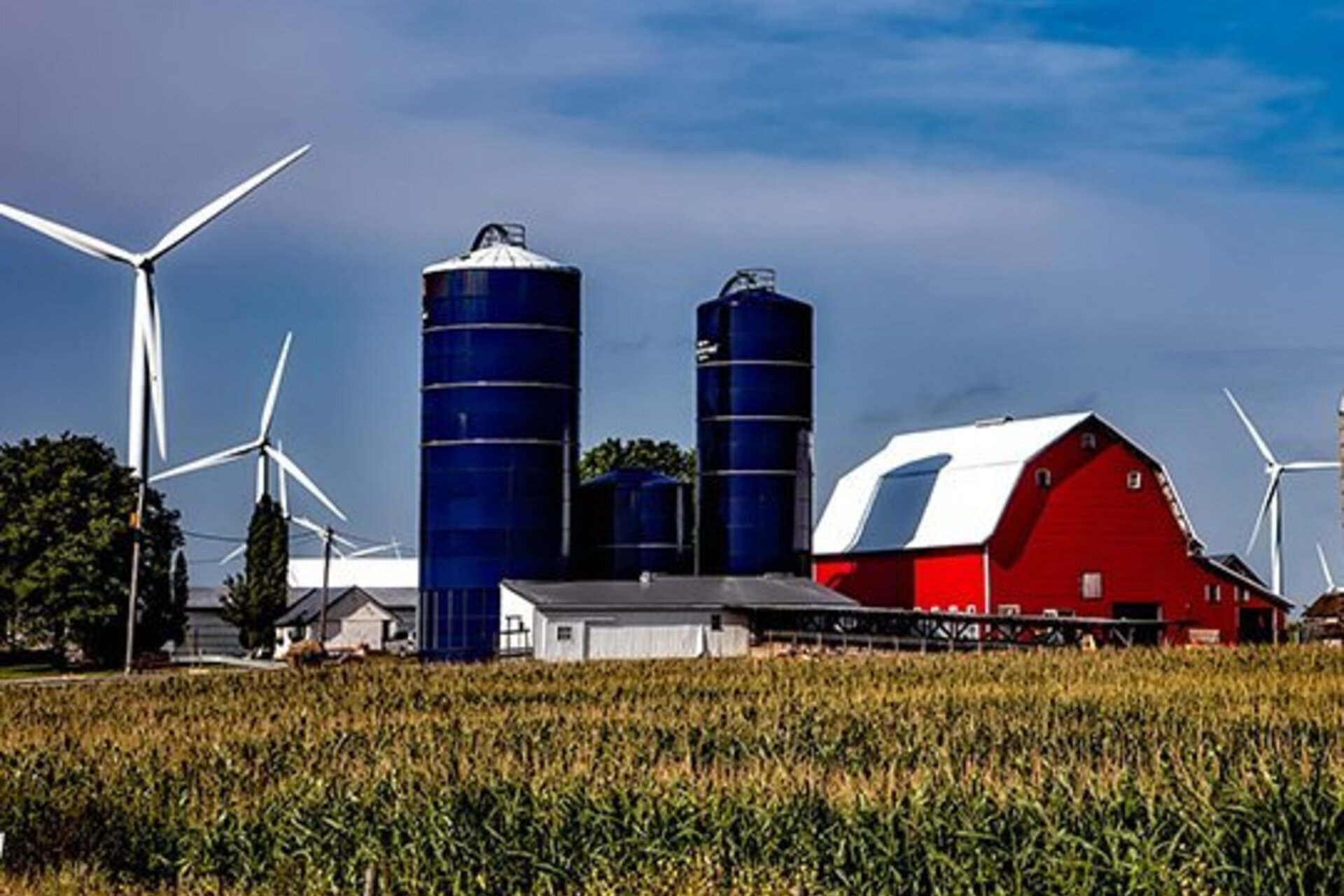 A farm that has integrated renewable energy resources like windmills