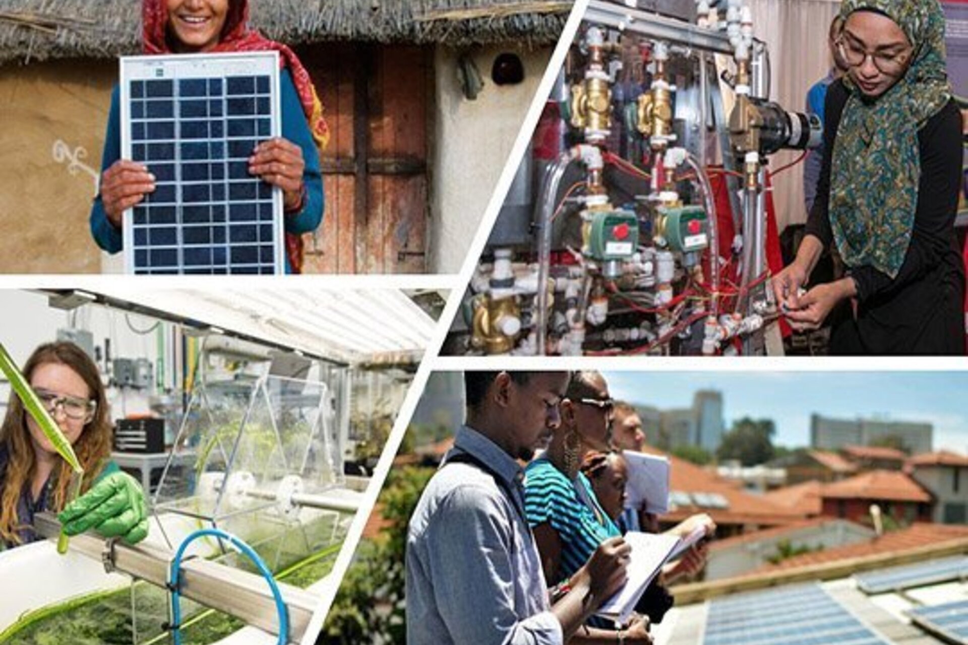 A collage of four different student projects