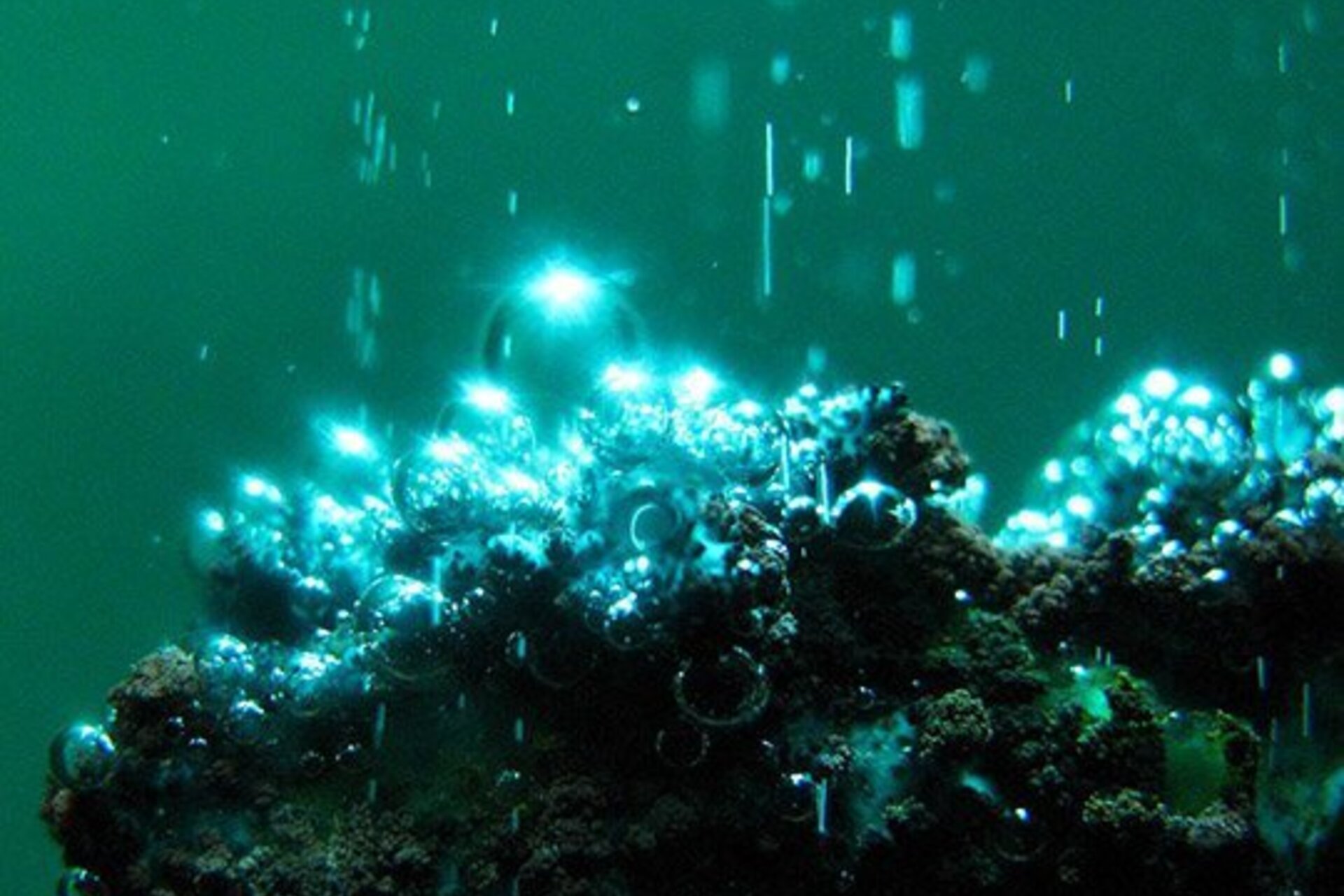 Bubbles emanating from a coral-like structure underwater