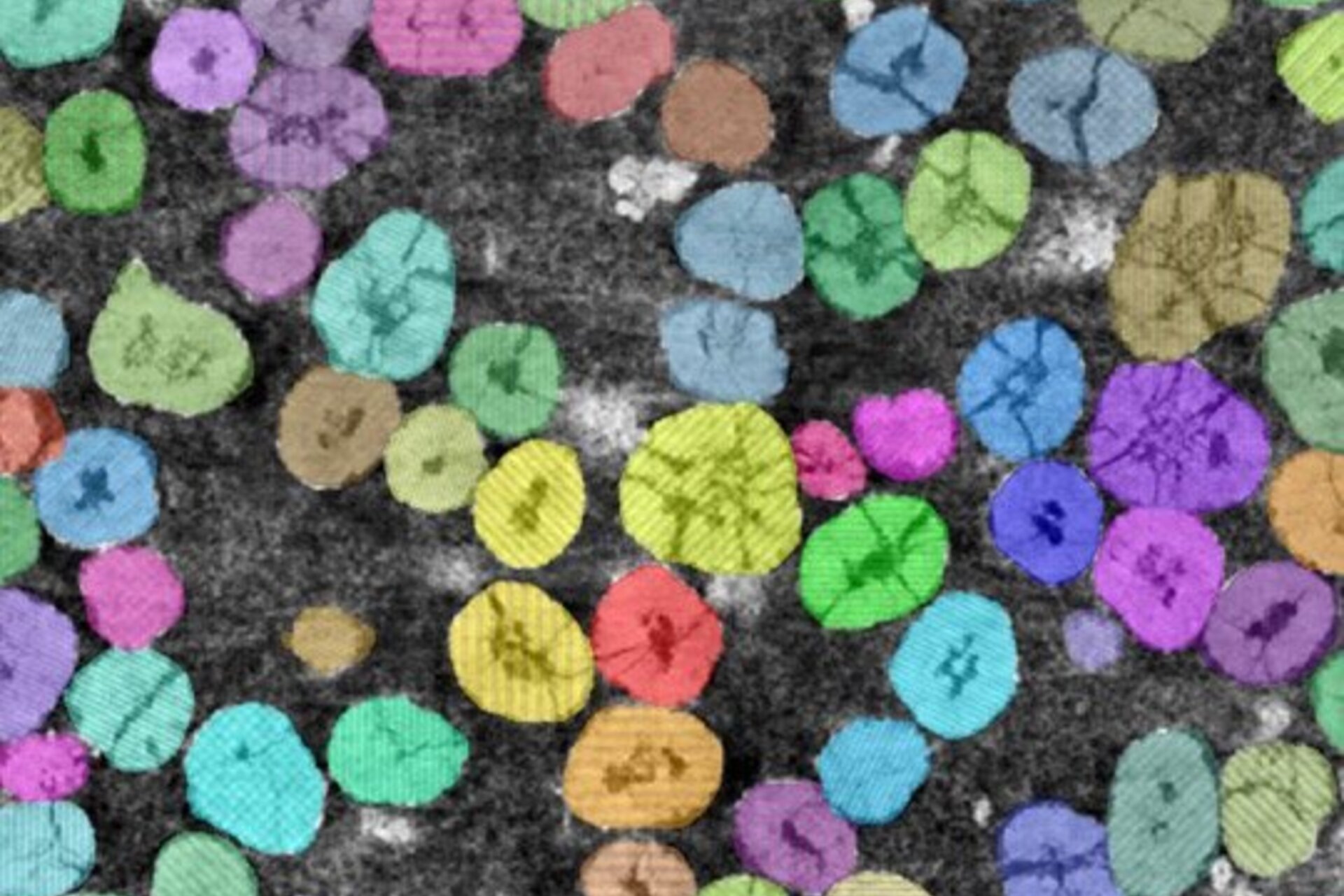 Particles in a nickel-manganese-cobalt cathode are highlighted using a new computer vision algorithm.