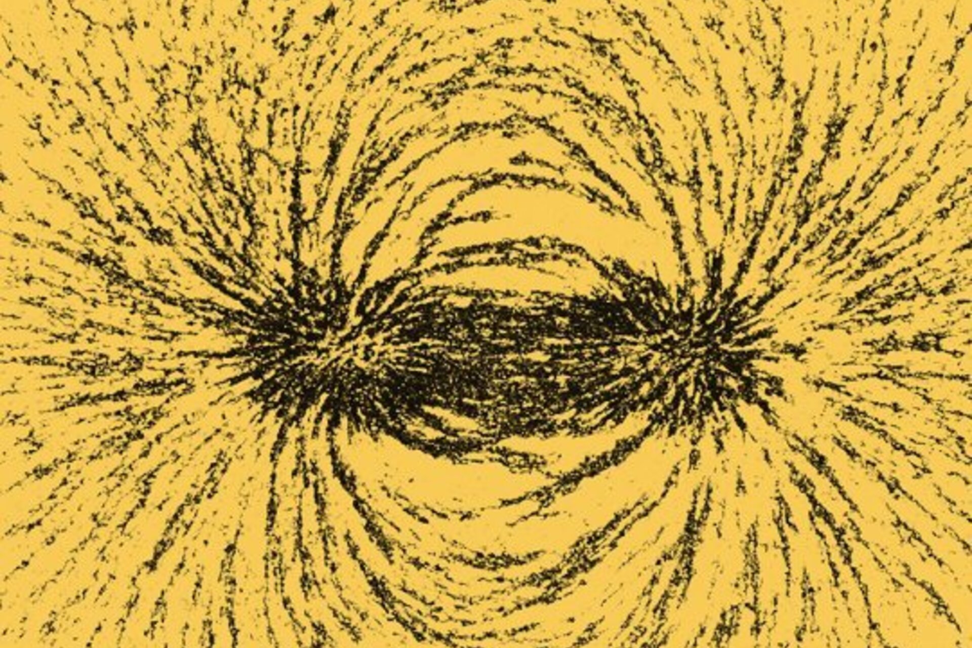 Metal filings influenced by a magnet to show the two poles