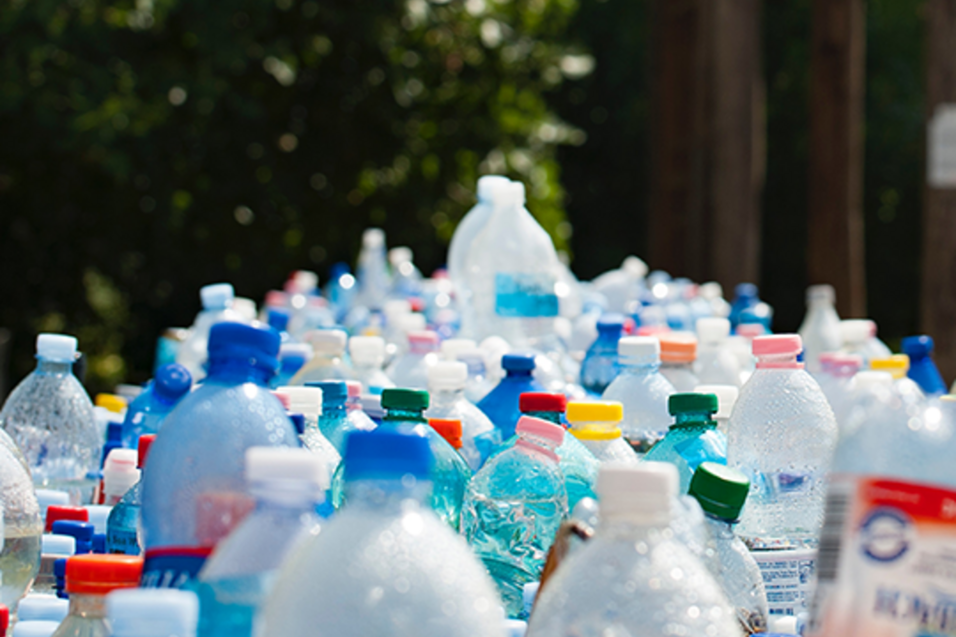 Many plastic bottles of different sizes with colorful caps