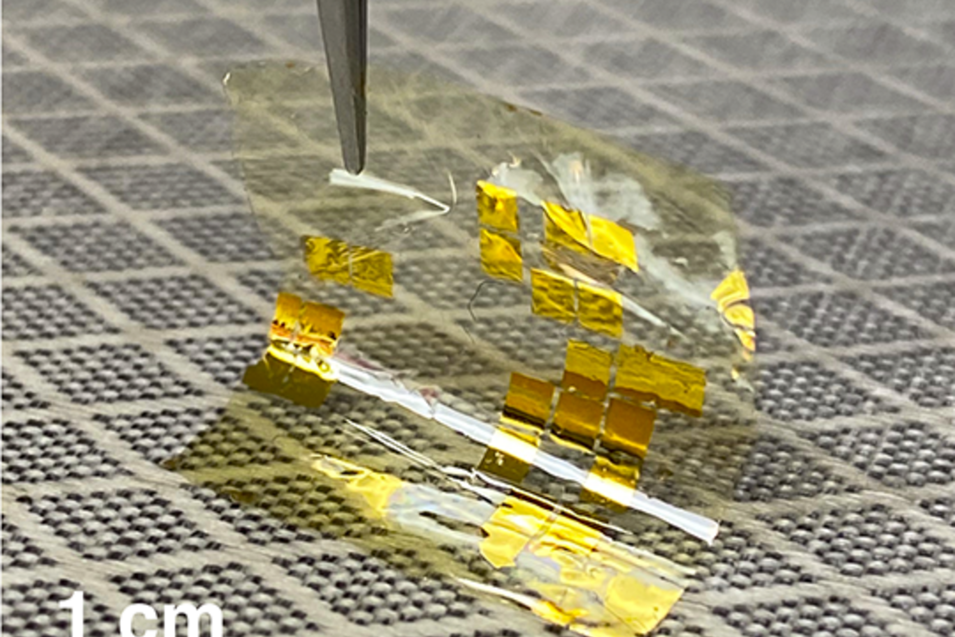 Transition metal dichalcogenide solar cells on a flexible polyimide substrate