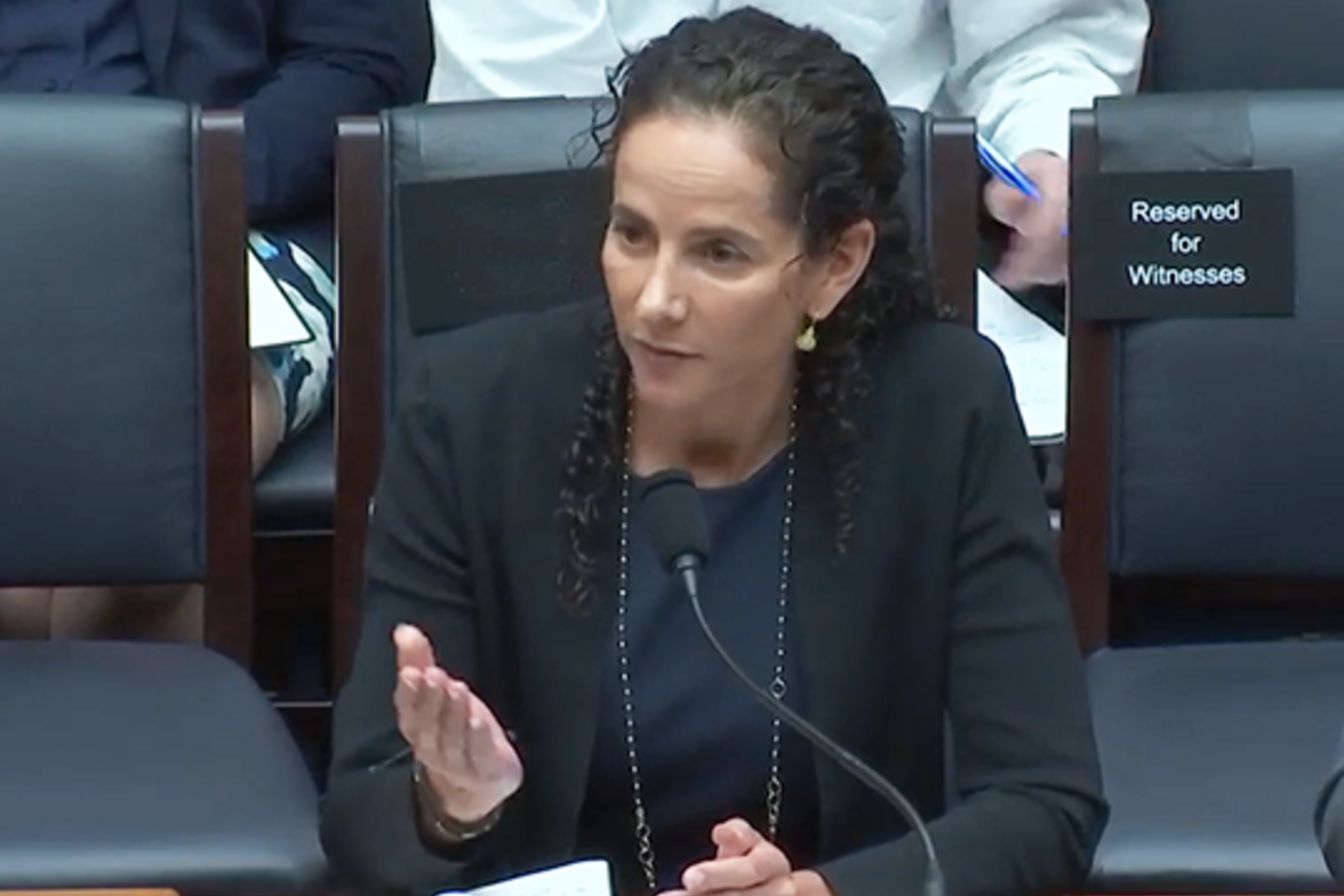 Alicia Sieger testifying