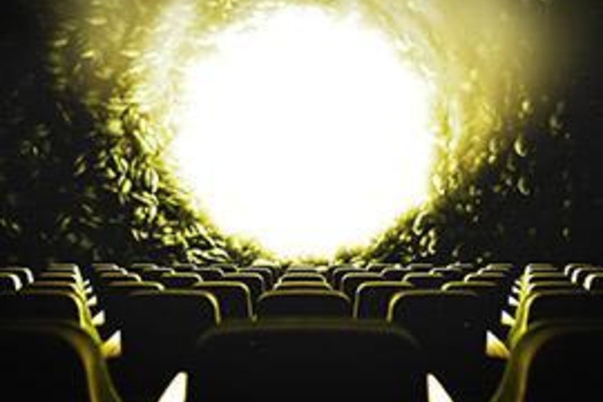 Movie photosynthesis