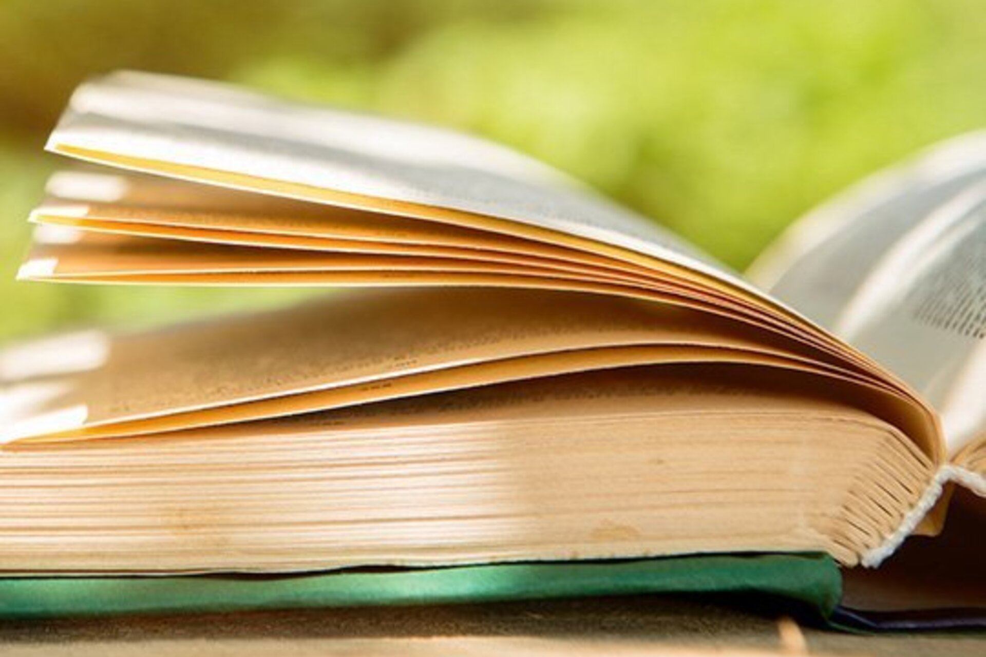 Open book on a table outside on a sunny day with a shrub in the blurred background