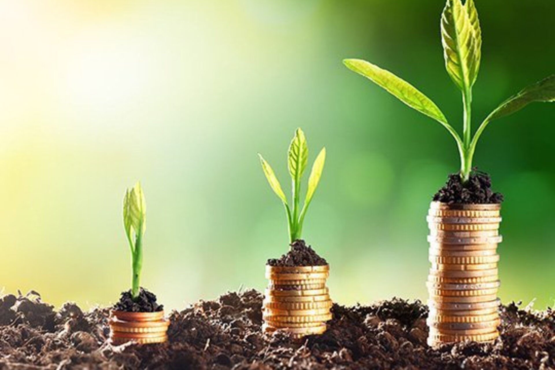  progressively larger stacks of coins on top of soil, which are each topped with a plant sprouting from a small amount of soil. The taller the stack of coins, the larger the plant on top has grown.