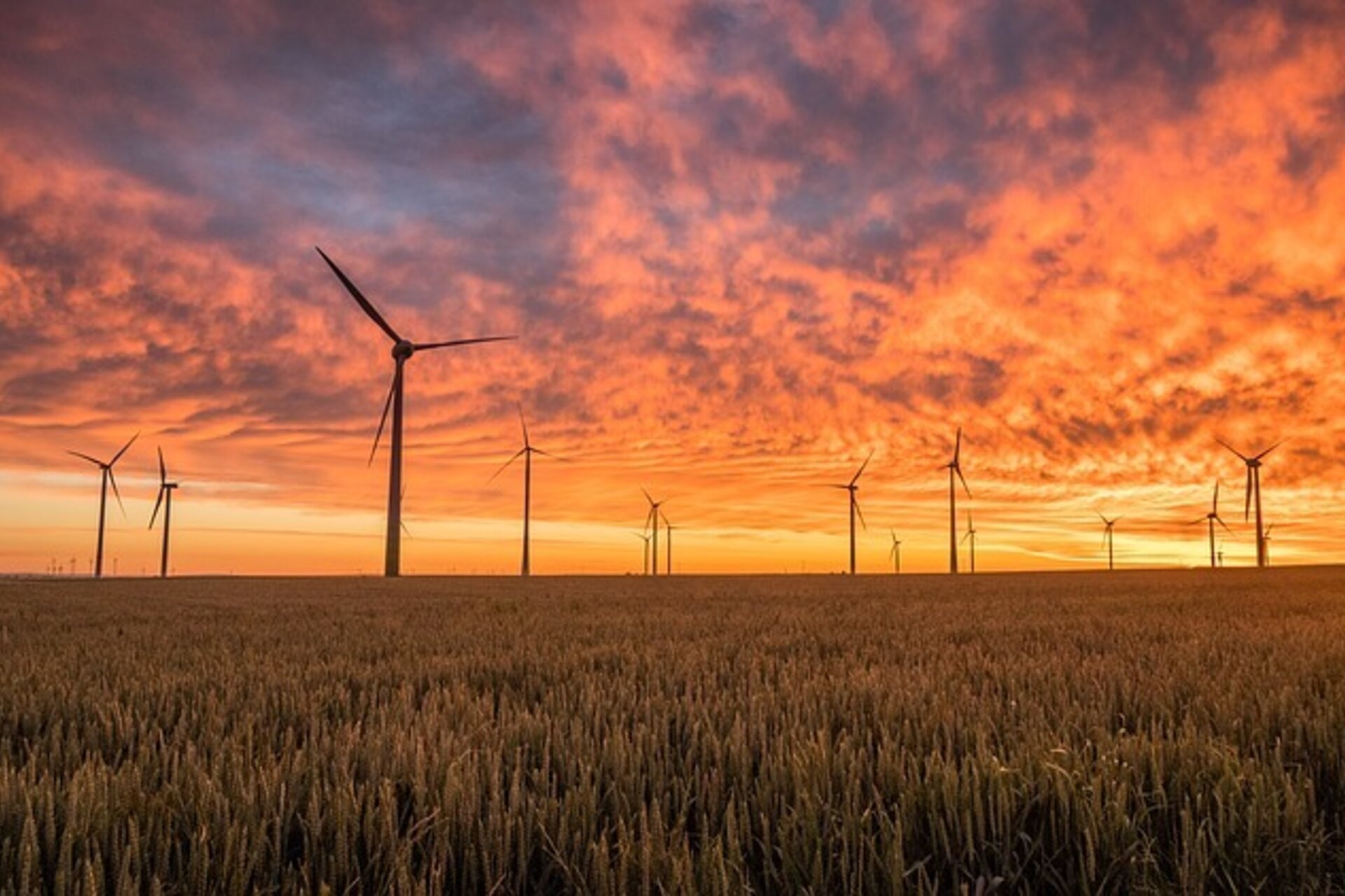Wind turbines in field during sunset