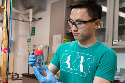 Haotian Wang working in lab
