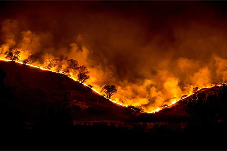 A wildfire raging on a black hill