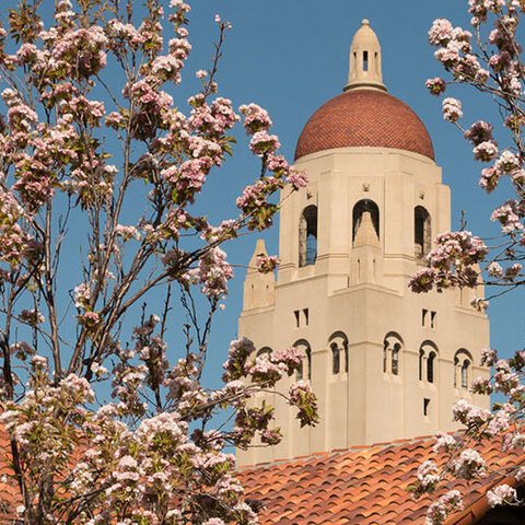 Hoover tower with trees with flowers in front