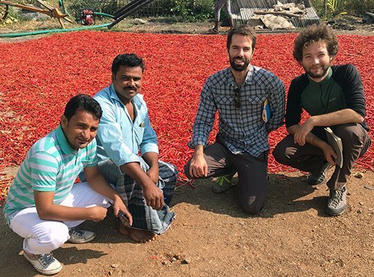Researchers pose for a photo next to an area with many red chiles air drying