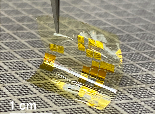 Transition metal dichalcogenide solar cells on a flexible polyimide substrate
