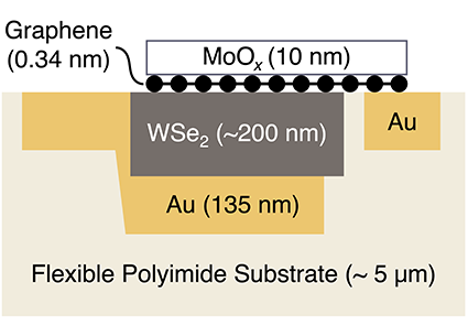 A diagram with layers of graphene, gold, and other materials on flexible polyimide substrate